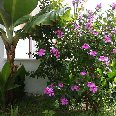 Flower Villa Apart Kemer Buitenkant foto
