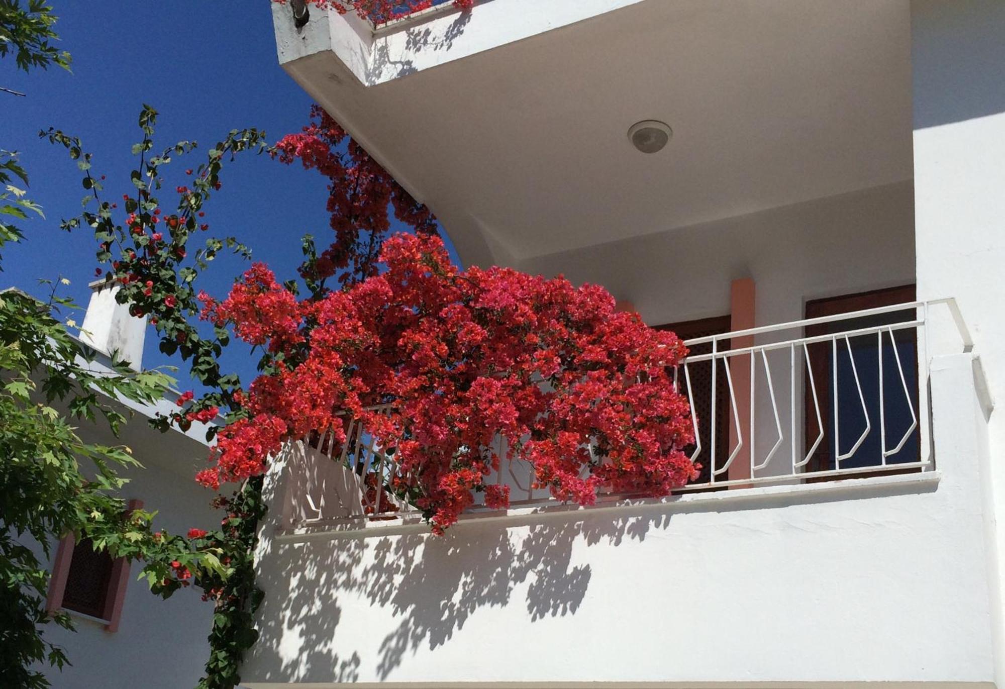 Flower Villa Apart Kemer Buitenkant foto