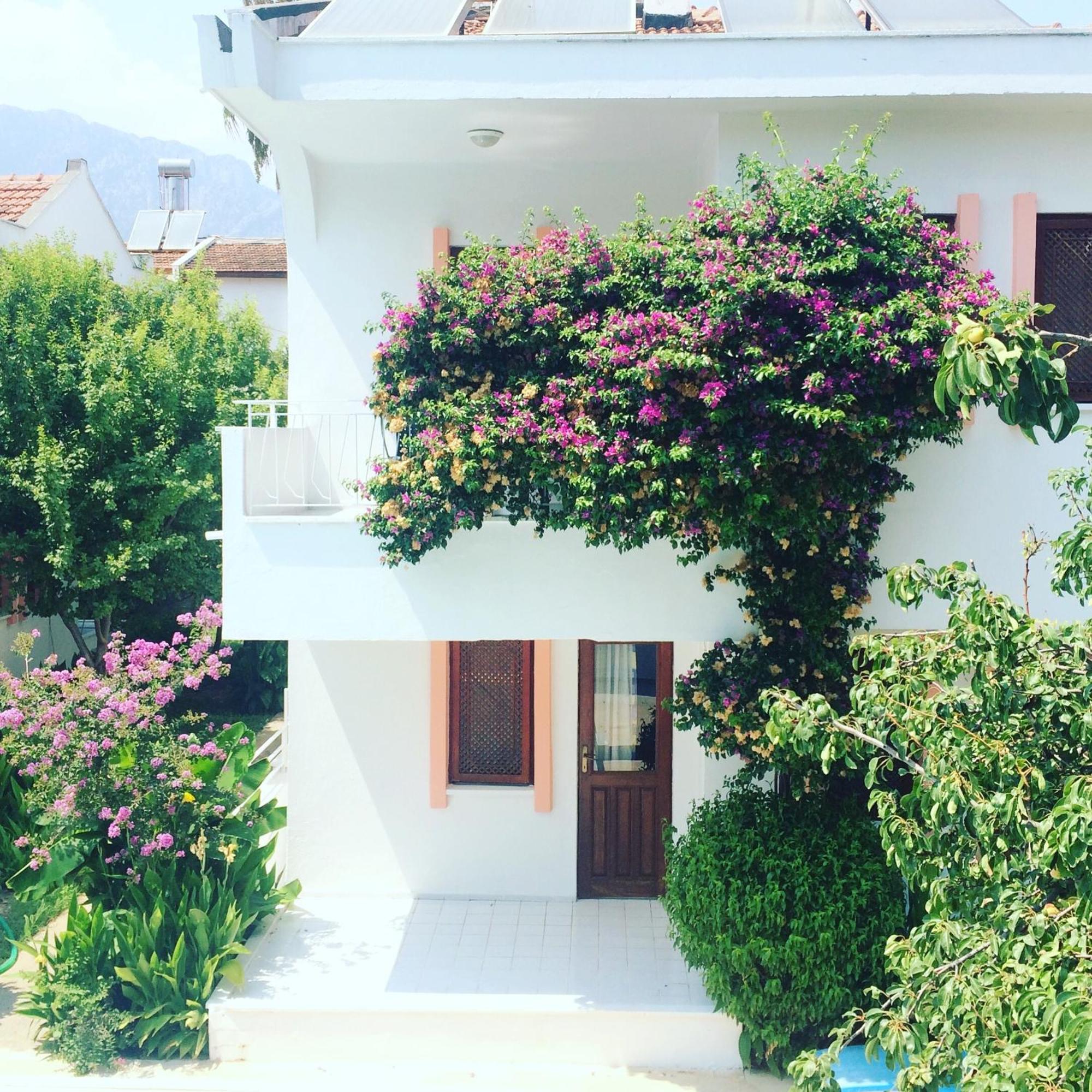 Flower Villa Apart Kemer Buitenkant foto